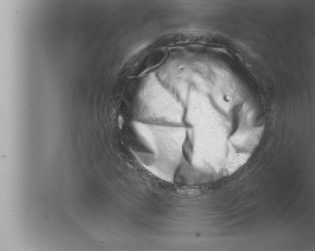 X0000080101302200612301907