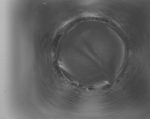 X0000080101303200612301907