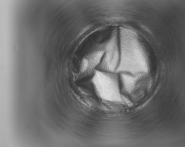 X0000080101305200612301907