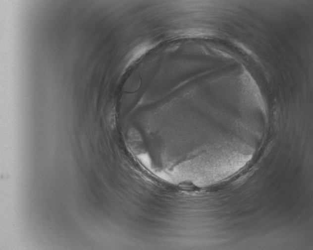 X0000080101306200612301907