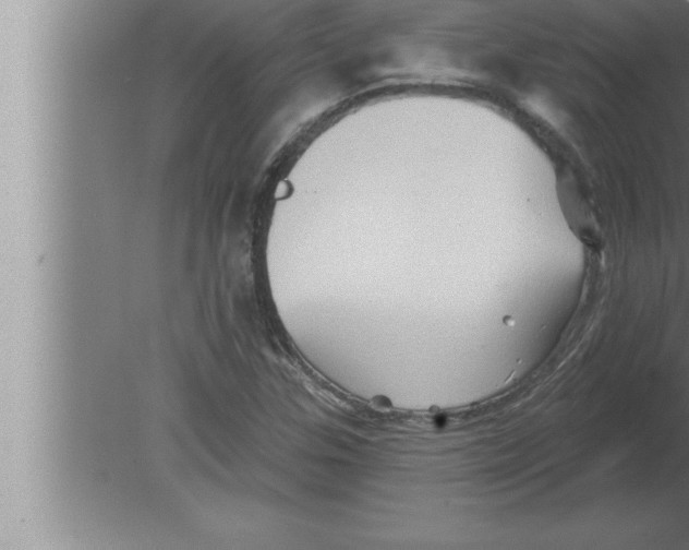 X0000080101307200612301907