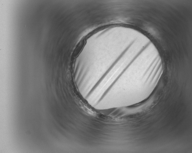 X0000080101308200612301907