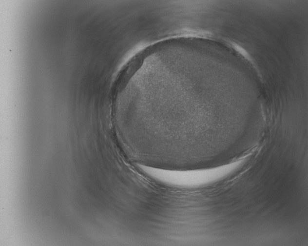 X0000080101310200612301907