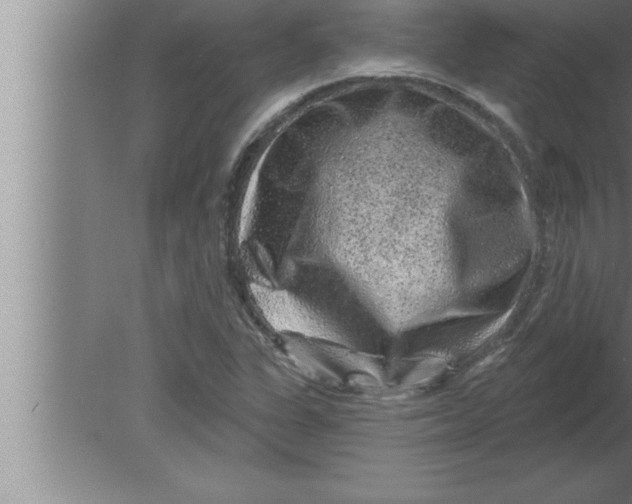 X0000080101311200612301907