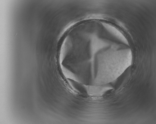 X0000080101312200612301907