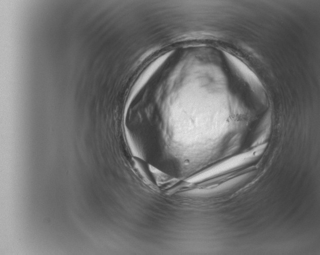 X0000080101313200612301907