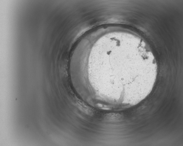 X0000080101314200612301908