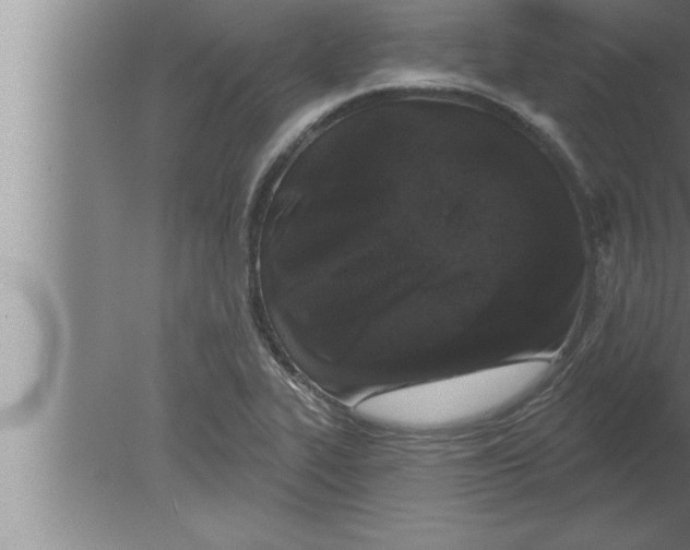 X0000080101319200612301908