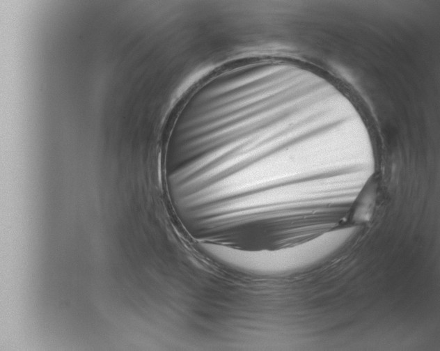 X0000080101320200612301908