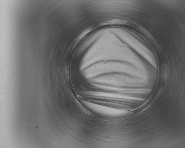 X0000080101321200612301908