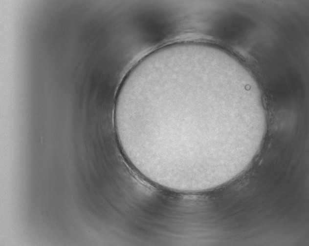 X0000080101322200612301908