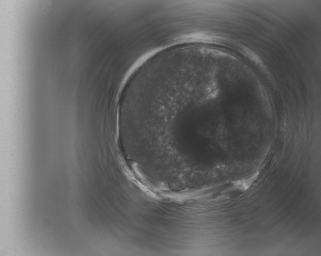 X0000080101323200612301908