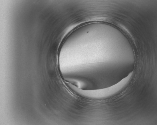 X0000080101324200612301908