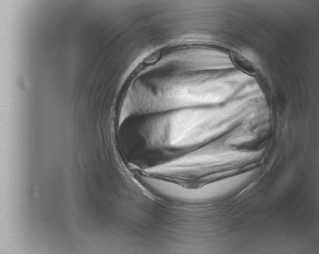 X0000080101325200612301908