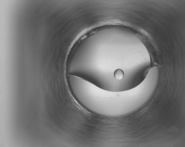 X0000080101326200612301908