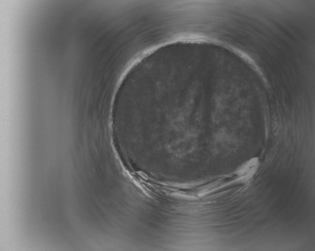 X0000080101327200612301908