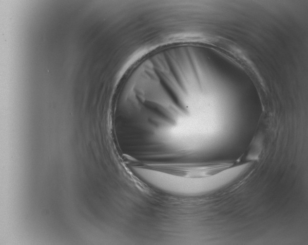 X0000080101328200612301908