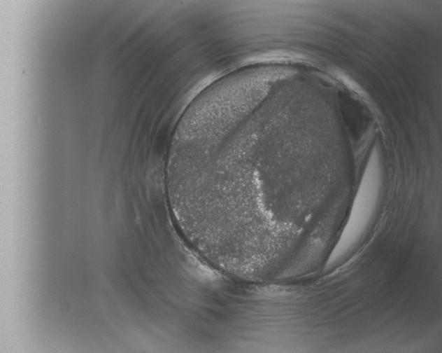 X0000080101329200612301908