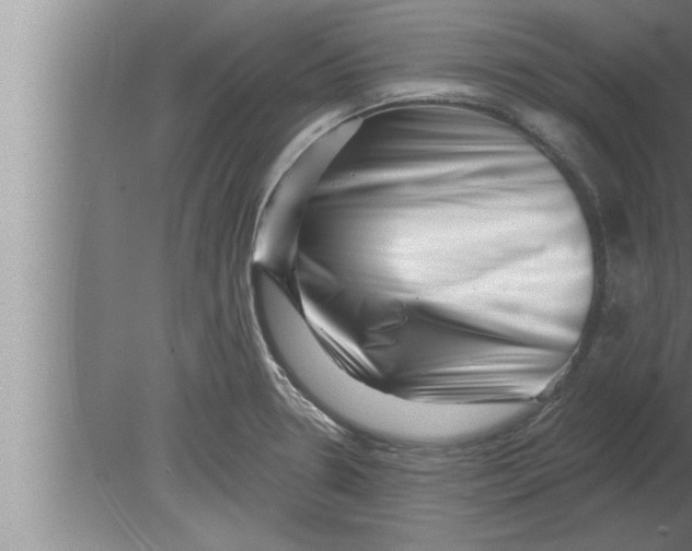 X0000080101330200612301908