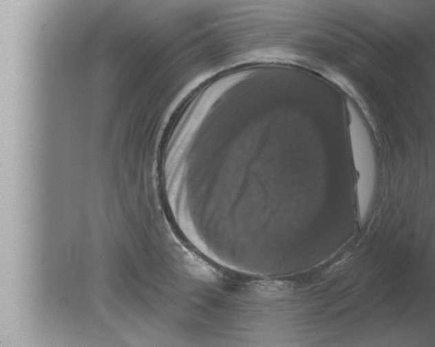 X0000080101331200612301908