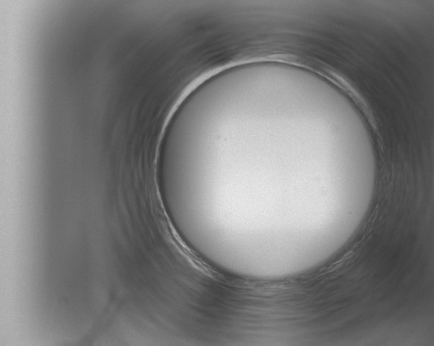 X0000080101332200612301908