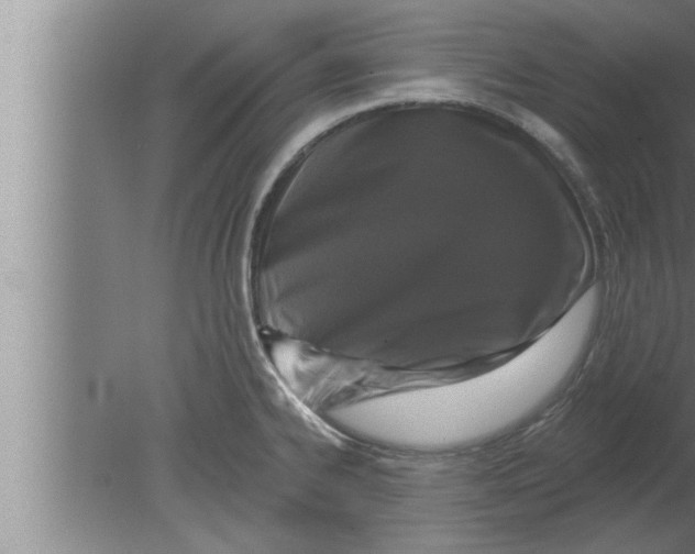 X0000080101334200612301908