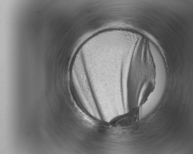 X0000080101335200612301908