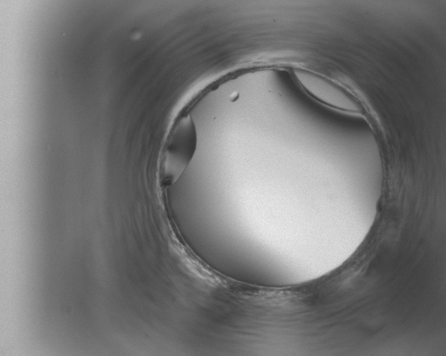 X0000080101336200612301908