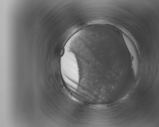 X0000080101337200612301908