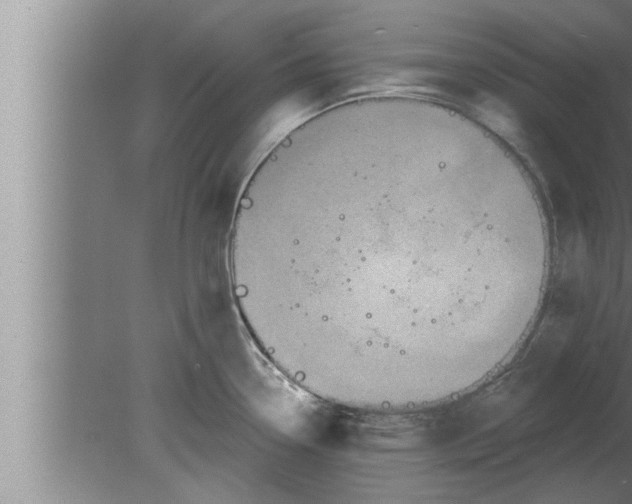 X0000080101338200612301908