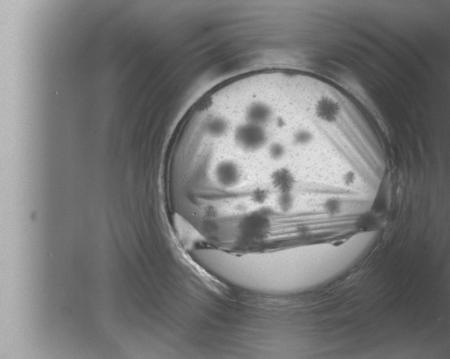 X0000080101339200612301908