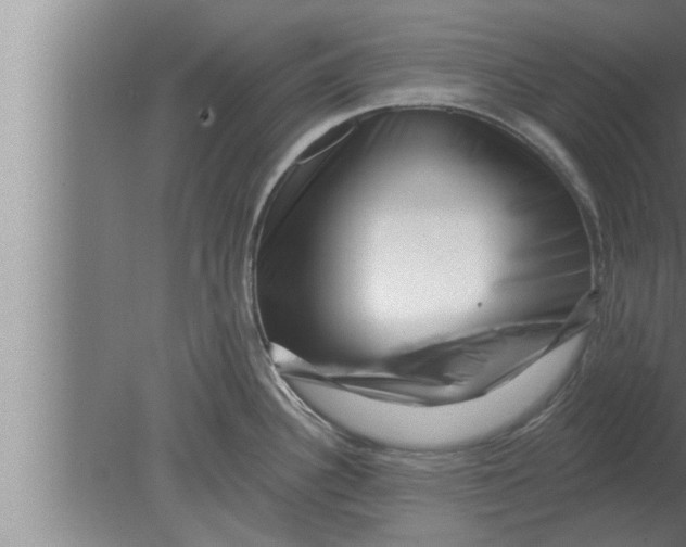 X0000080101340200612301908