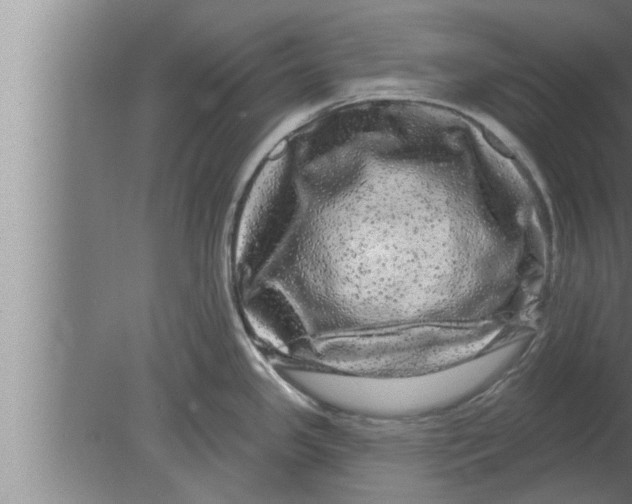 X0000080101341200612301908