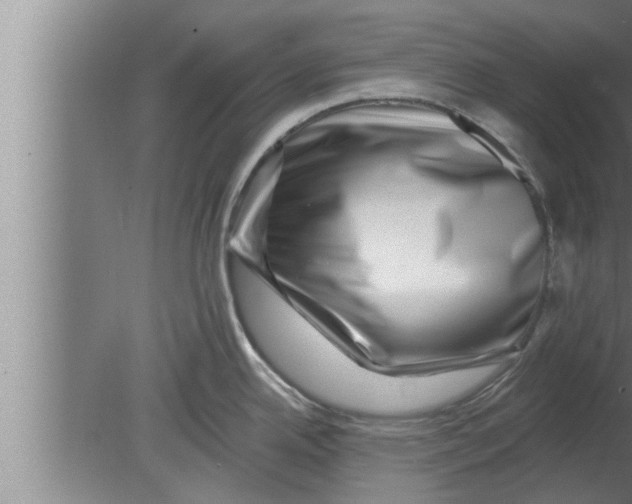 X0000080101342200612301908