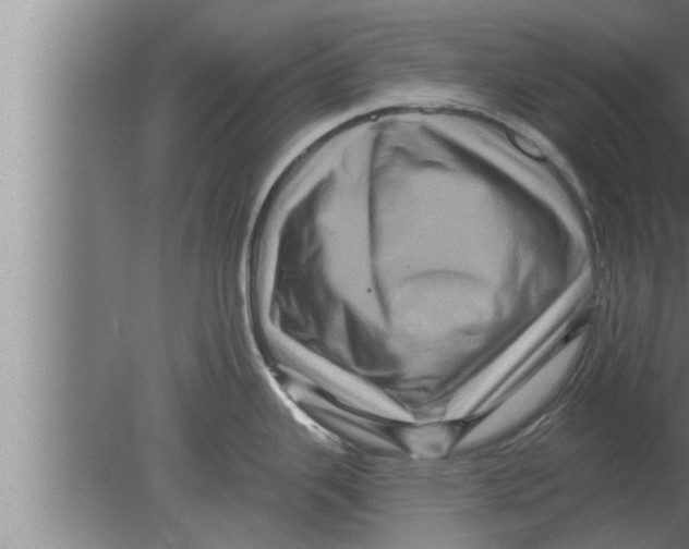 X0000080101343200612301908