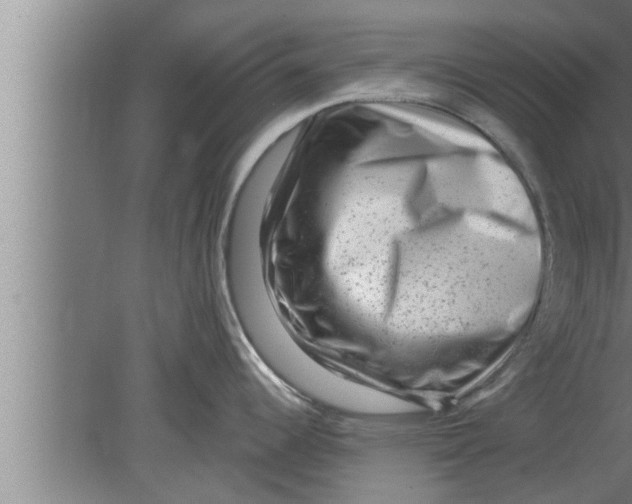 X0000080101344200612301908