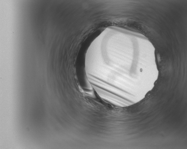 X0000080101345200612301907