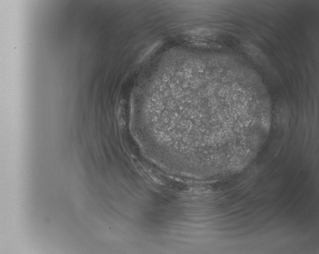 X0000080101346200612301907