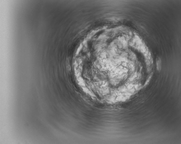 X0000080101347200612301907