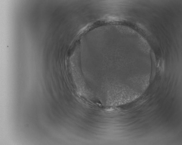 X0000080101348200612301907