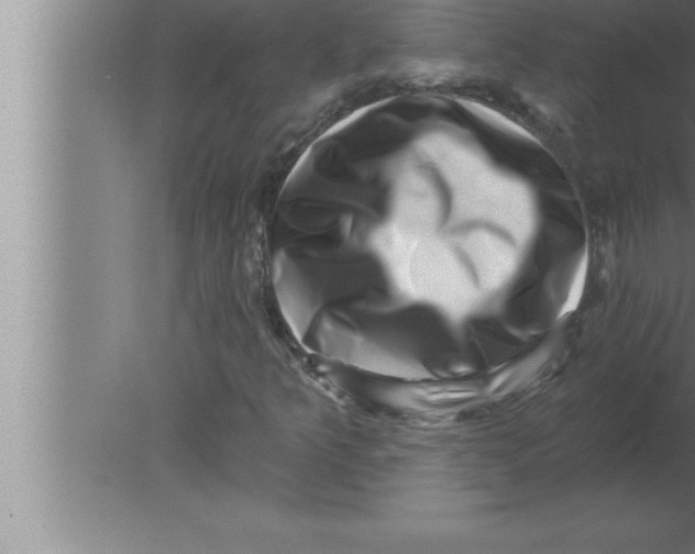 X0000080101349200612301907