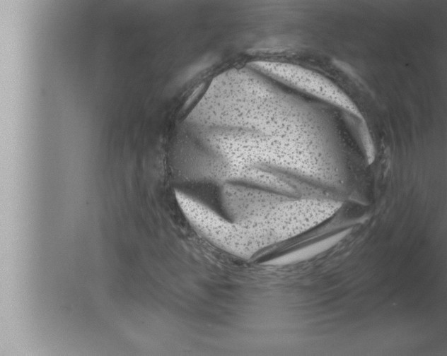 X0000080101350200612301907