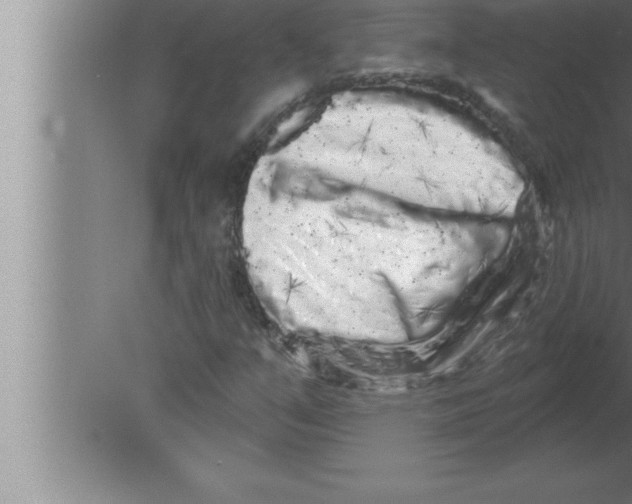 X0000080101351200612301907