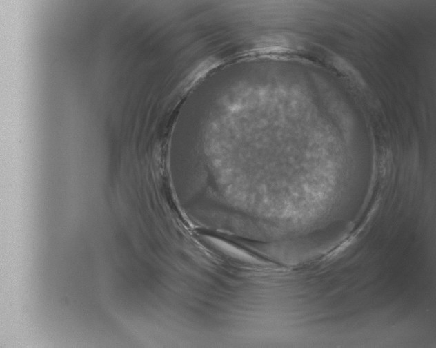 X0000080101353200612301907