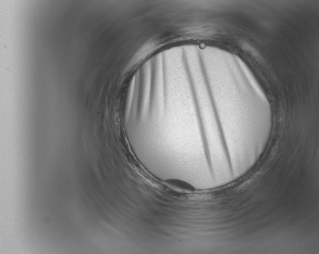 X0000080101354200612301907