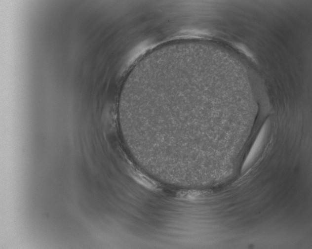 X0000080101355200612301907