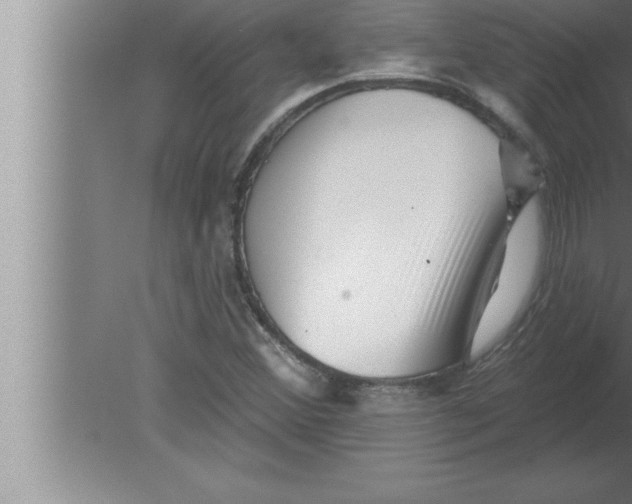 X0000080101356200612301907