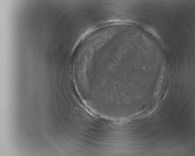 X0000080101357200612301907