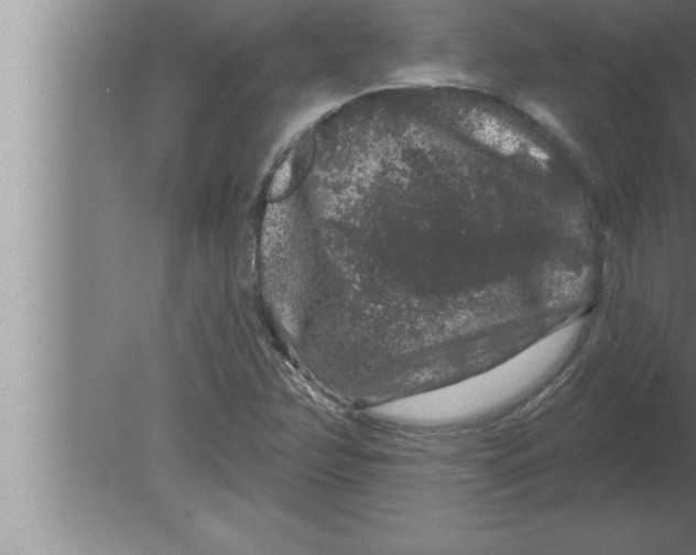 X0000080101358200612301907