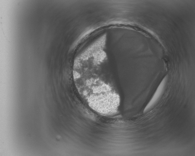 X0000080101359200612301907